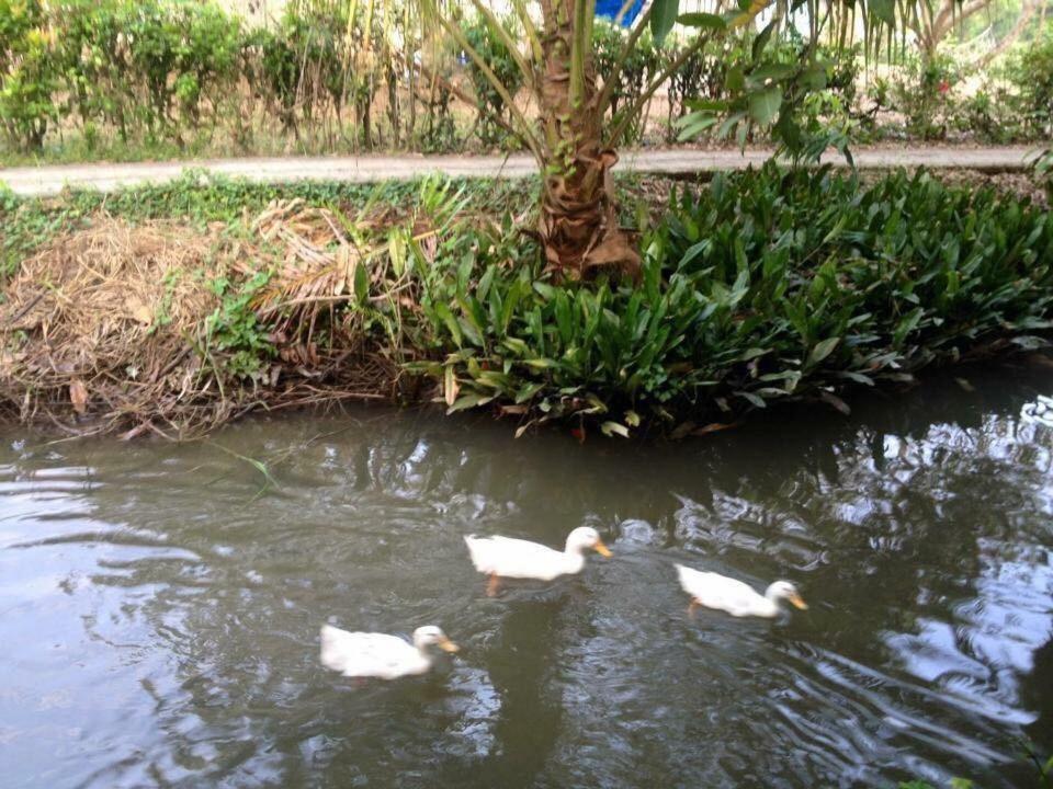 Nam Thanh Homestay Vĩnh Long Eksteriør billede