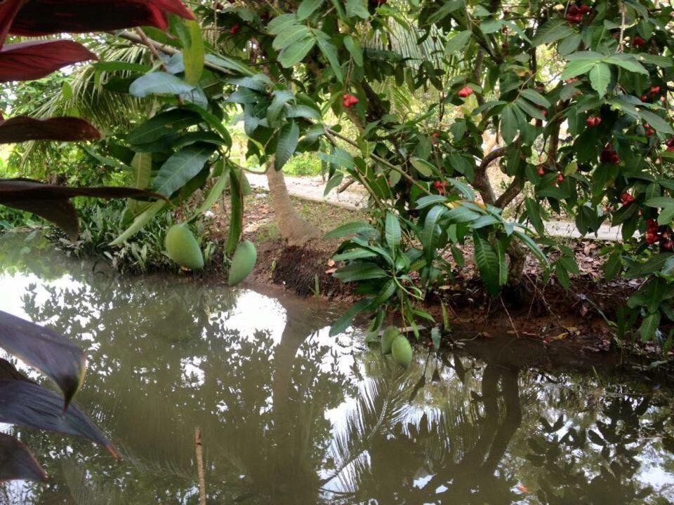 Nam Thanh Homestay Vĩnh Long Eksteriør billede